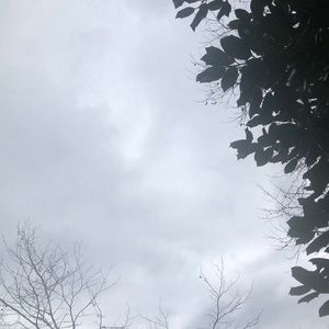 Meet your Posher, Samone